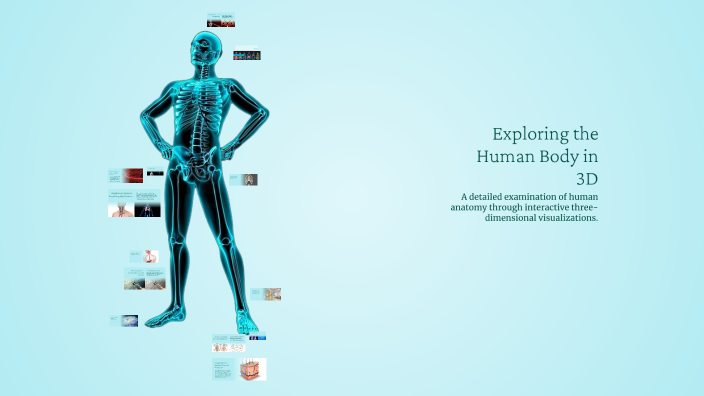 Exploring the Human Body in 3D by cassandra Jore on Prezi