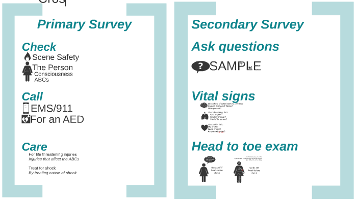 primary-secondary-survey-sfa-by-noelle