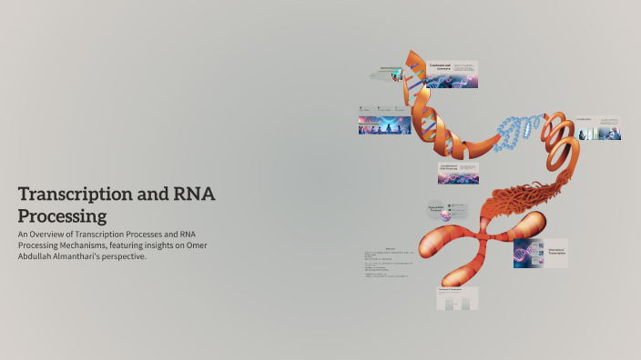 Transcription and RNA Processing by عمر المنذري on Prezi