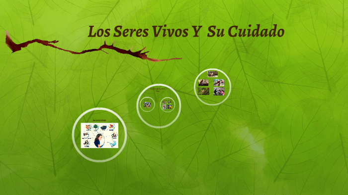 El Cuidado De Los Seres Vivos by Kimberly Bravo on Prezi