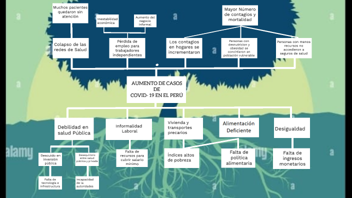 ARBOL DE PROBLEMAS by Jhoselin Cinthia Human Sanchez on Prezi