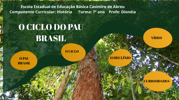 O CICLO DO PAU BRASIL by Dionéia Sgarbossa on Prezi