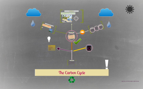 How The Carbon Cycle Works by omid hassani on Prezi