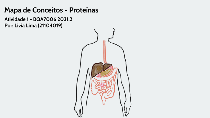 Mapa De Conceitos Proteínas By Livia Lima On Prezi