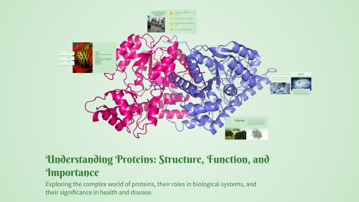 Understanding Proteins: Structure, Function, and Importance by Milo K ...