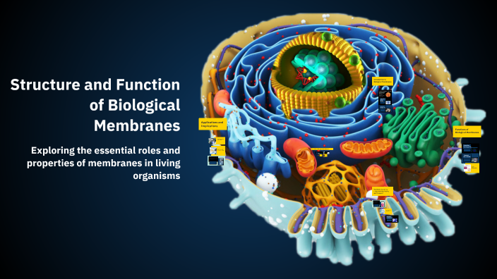 Structure and Function of Biological Membranes by Alisa Ayitova on Prezi