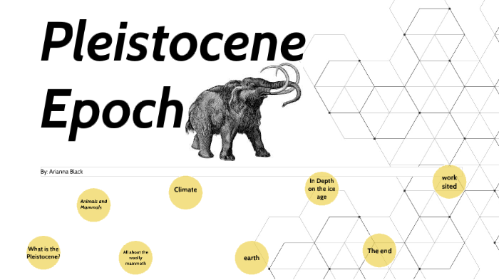 Pleistocene epoch: The last ice age