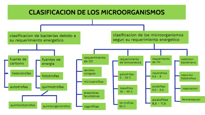 CLASIFICACION DE LOS MICROORGANISMOS by martin vasquez on Prezi