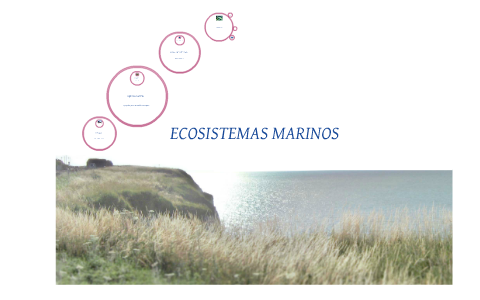 ECOSISTEMAS MARINOS by tomas benigno vargas gálvez on Prezi