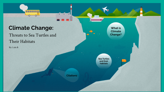 Climate change - Habitat loss - Sea Turtles by Lucia Brandt