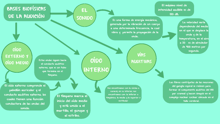 MAPA CONCEPTUAL OIDO by Laura Perea Medina on Prezi Next