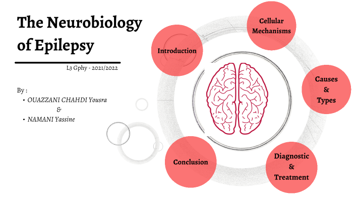 neurobiology of epilepsy