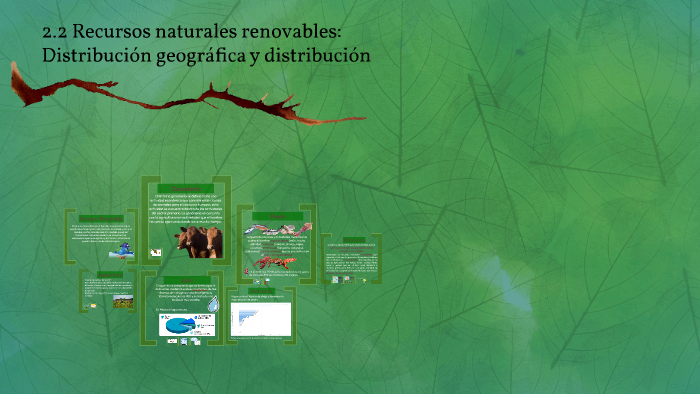 Recursos Naturales Renovables Distribución Geográfica Y Dis By Ana