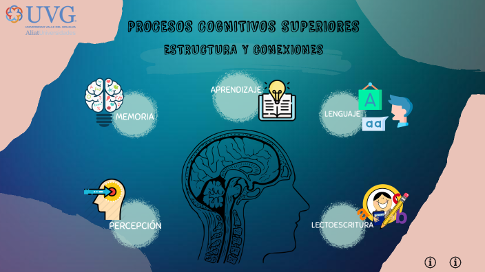 Procesos Cognitivos Superiores By Isabel Vidal Honorio On Prezi 0274