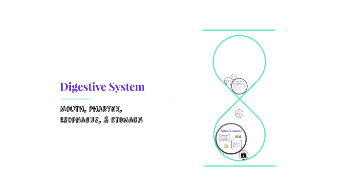 Digestive System by on Prezi