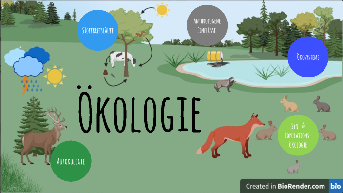 Übersicht Ökologie by Matthias Nisbach on Prezi