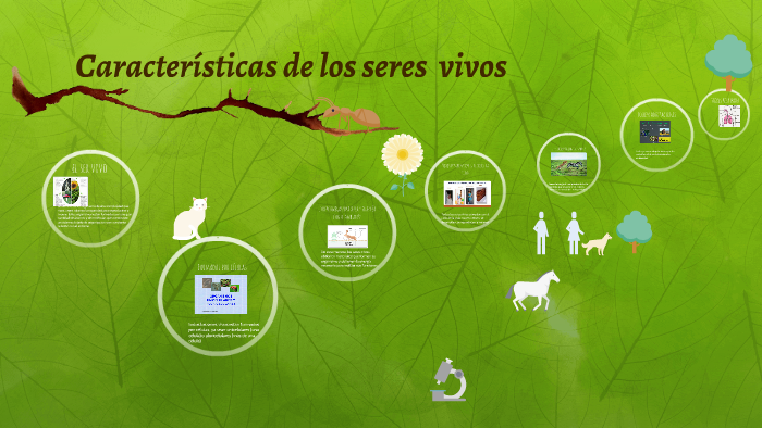 Características de los seres vivos by Julia Papa