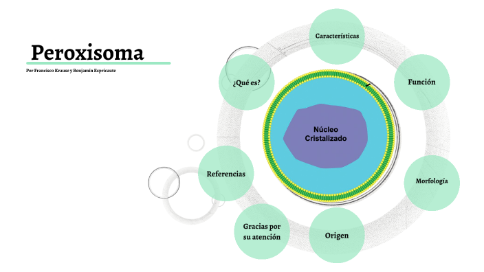 diagrama de peroxisoma