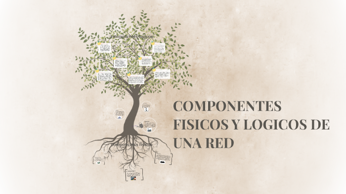 Componentes Fisicos Y Logicos De Una Red By Sebastian Ahumada 6851