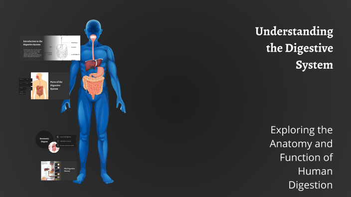 Understanding the Digestive System by Edwin Trejo on Prezi