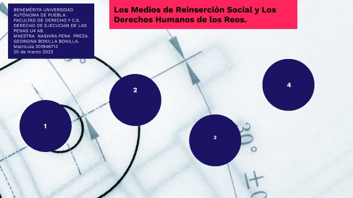 MAPA CONCEPTUAL by Georgina Bonilla Bonilla. on Prezi