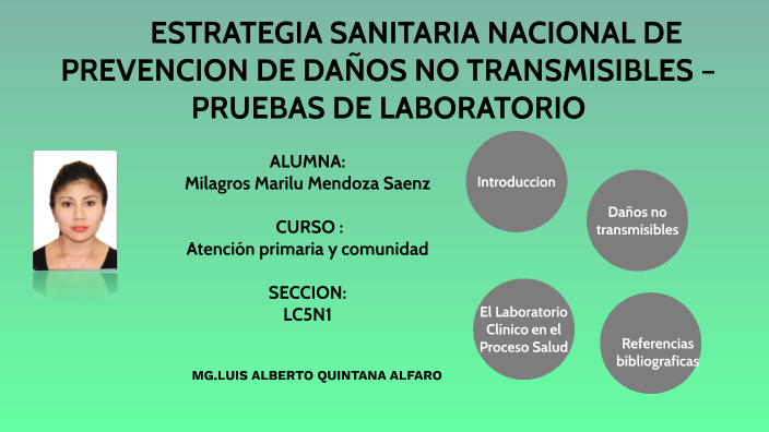 Enfermedades No Transmisibles By Milagros Mendoza Saenz On Prezi