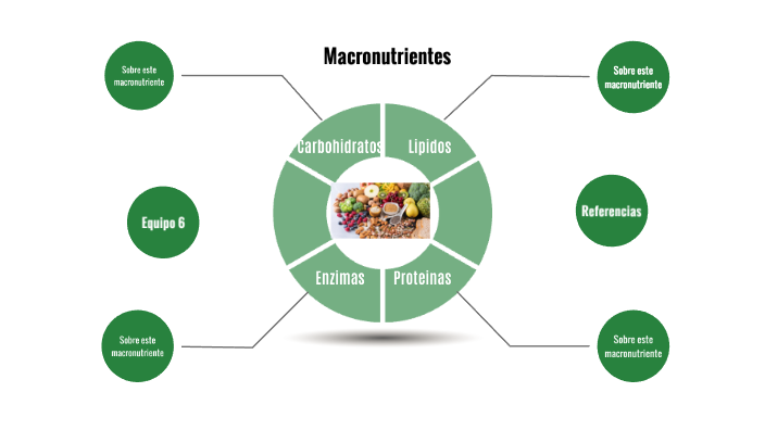 Mapa conceptual de macronutrientes by Diego Colorado on Prezi Next