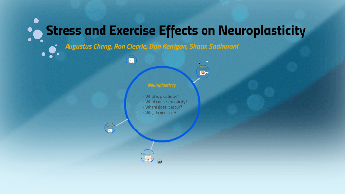 Stress and Exercise Effects on Neuroplasticity by Augustus Chang on Prezi