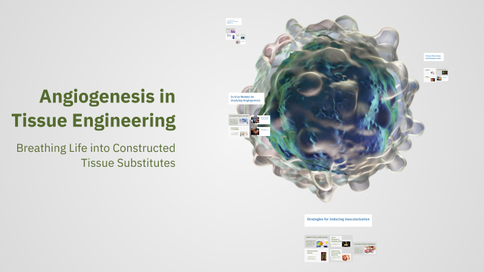 Angiogenesis in Tissue Engineering by Mahsa Danai far on Prezi