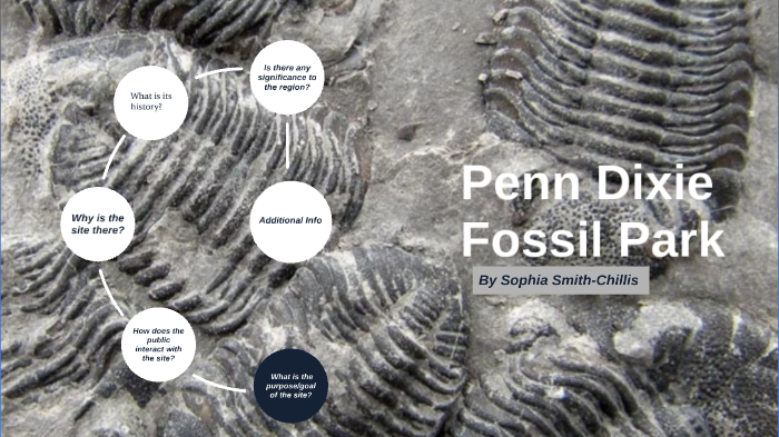 Penn Dixie Fossil Park by Sophia Chillis on Prezi Next