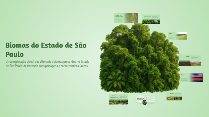 Biomas do Estado de São Paulo by Enzo Silva Castro on Prezi