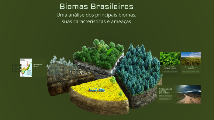 Biomas Brasileiros by MIGUEL NASCIMENTO FREITAS KLEINA LIMA on Prezi