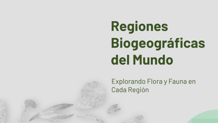 Regiones Biogeográficas del Mundo by Karissa Sandra Ñahui Hinostroza on ...