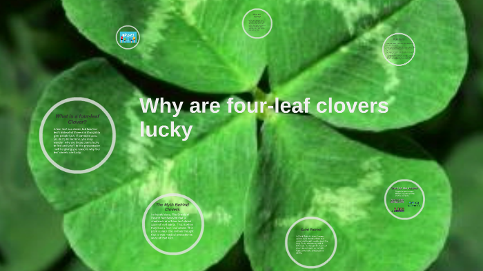 A Comparative Analysis of Four-Leaf Clover Induced Luck - Journal of  Astrological Big Data Ecology