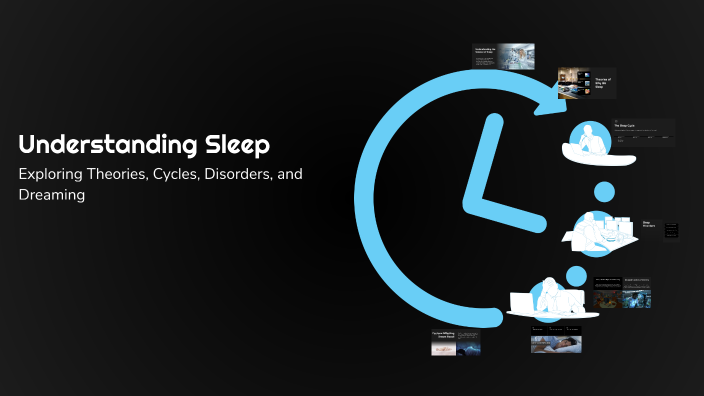 Understanding Sleep by Abdullayeva Yasmina on Prezi