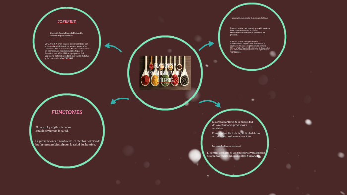 Atribuciones Funciones Y Caracteristicas De La Cofepris By Araceli Rocha