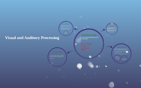 Auditory Processing Visual Visual and Auditory Processing by Jared Horgen on Prezi