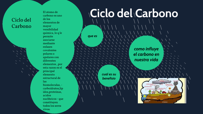 ciclo del carbono mapa konzeptionell