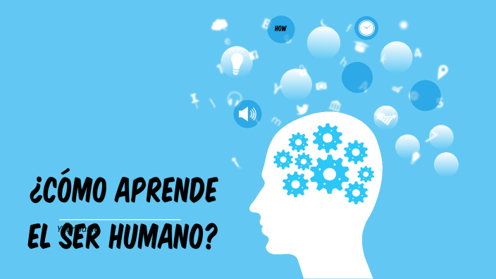 Cómo_Aprende_El_Ser_Humano by dulce rivera on Prezi