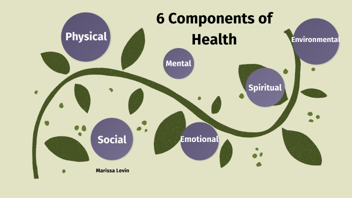 6-components-of-health-by-marissa-levin-on-prezi