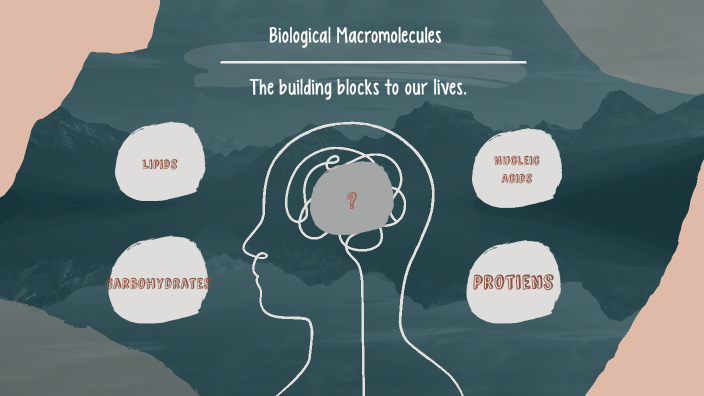 Macro molecule Presentation. by LaDawn L on Prezi