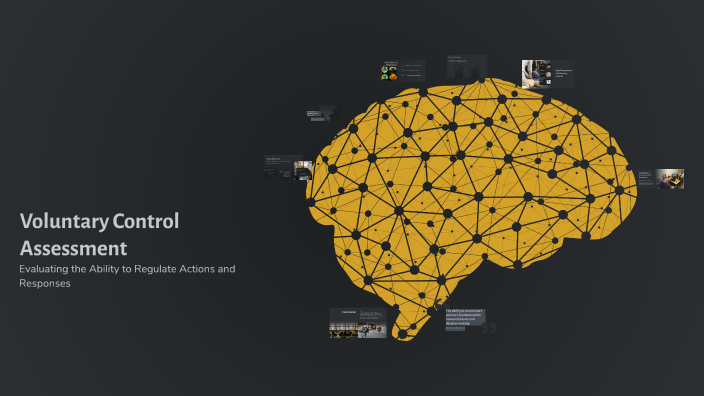Voluntary Control Assessment by Sumi ROSE on Prezi