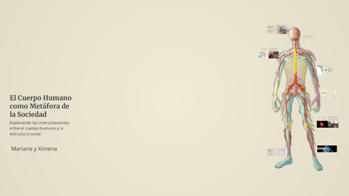 El Cuerpo Humano como Metáfora de la Sociedad by Mariana M.B on Prezi