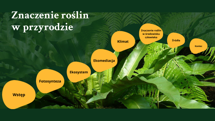 Znaczenie roślin w przyrodzie by kacper Palarczyk on Prezi
