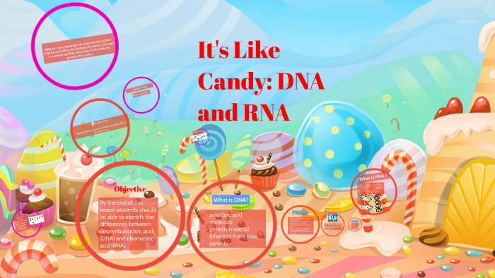 DNA and RNA Presentation by Dalina Blassingame on Prezi
