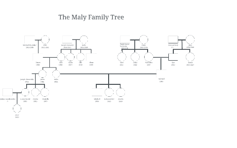 Family Tree by Becky Maly on Prezi