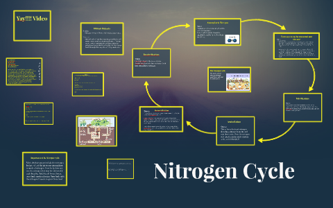 Nitrogen Cycle by Julia Dyck on Prezi