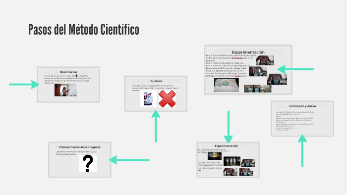 Pasos del Metodo Cientifico by Margarita ricardez gonzalez on Prezi