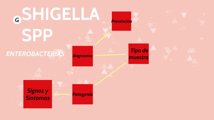 SHIGELLA SPP by katherine perez on Prezi