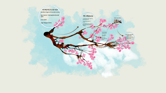 MI PROYECTO DE VIDA by Silvana Polo on Prezi